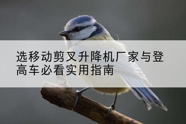 东丽区电动升降机厂家-选移动剪叉升降机厂家与登高车必看实用指南