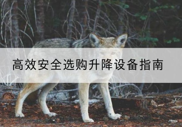东丽区升降货梯厂家推荐-*安全选购升降设备指南