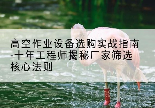 东丽区剪叉式升降机厂家-高空作业设备选购实战指南-十年工程师揭秘厂家筛选核心法则